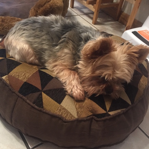 Meet your Posher, Grant - Picture 1 of 1